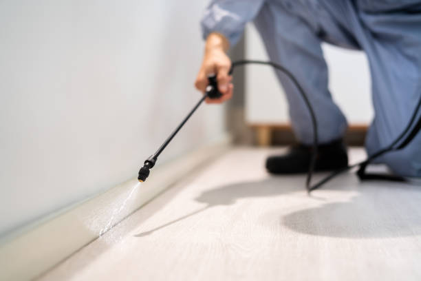 Licensed Termite Control service in Reno County County, KS - Nex Pest Control