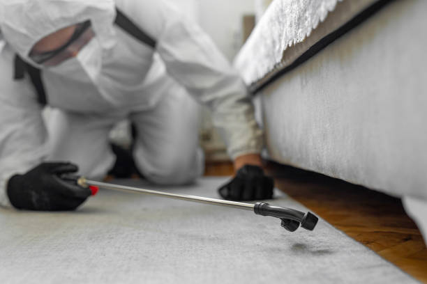 Professional Termite Control technician working in Reno County County, KS